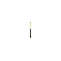 Ручка перьевая Sheaffer Gift Collection 300 Glossy Black GT FP M (Sh932504)