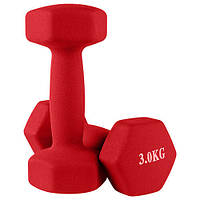 Гантели неопреновые для фитнеса цельные литые 2 шт по 3 кг 80024-N3, Красный