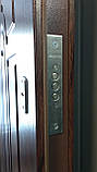 Двері Арка бюджет, фото 3