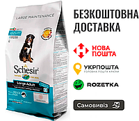 Сухой монопротеиновый корм Schesir Dog Large Adult Fish для взрослых собак крупных пород, рыба 12 кг