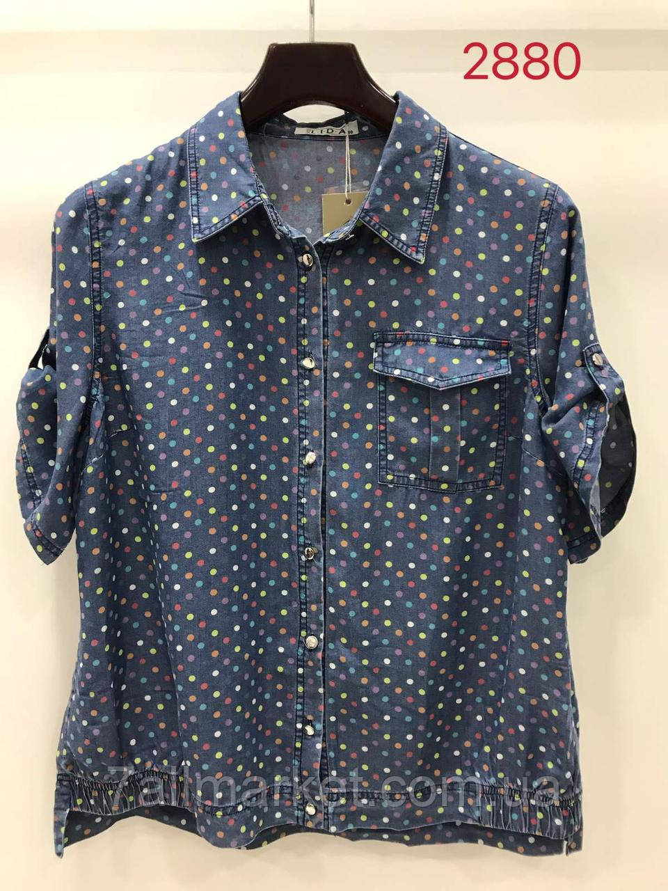 Сорочка жіноча на ґудзиках молодіжна розміри 50-58"LIDA" купити недорого від прямого постачальника