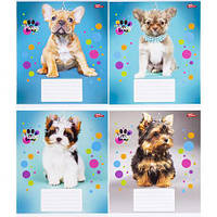 Від 20 шт. Зошит кольоровий 12 листів, клітина "3597" N купити дешево оптом в інтернет-магазині