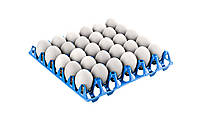 Лоток для куриных яиц JUMBO 1.0 300х300х55 мм на 30 яиц пластиковый. Италия