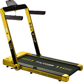 Бігова доріжка електрична Thunder Race Gold