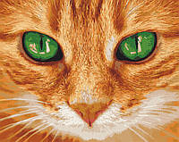 Картина по номерам. Art Craft "Зелёные глаза" 40*50 см Shopen Картина за номерами. Art Craft "Зелені очі"