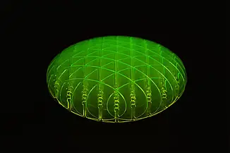 Морф слайм іграшка анти-стрес Morf Worm Slime Original ворм антистрес черв'як неоновий салатовий Код 00-0331