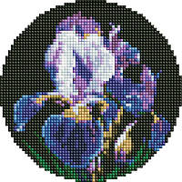 Алмазная мозаика на круглом подрамнике "Нежные ирисы" AM-R7924 d19см Shopen Алмазна мозаїка на круглому