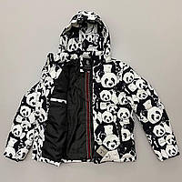 Куртка Panda чоловіча курточка з капюшоном Shopen