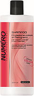 Шампунь для защиты цвета волос с экстрактом граната Brelil Numero Colour Protection Shampoo 1000 мл prof
