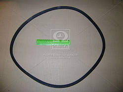 Ремінь вентилятора МТЗ 11х10-1250 гладкий