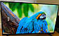 Телевізор Samsung 24 дюйми SMART TV, Ultra HD, Wi-Fi, з підставкою T2, Самсунг, Смарт ТВ на андроїд 13, фото 10