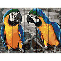 Картина за номерами по дереву "Два папуги" ASW057 30х40 см mn