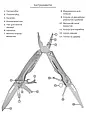 Мультитул 13в1 Active Universal Tool, срібний колір, фото 6