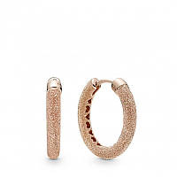 Срібні сережки 287930