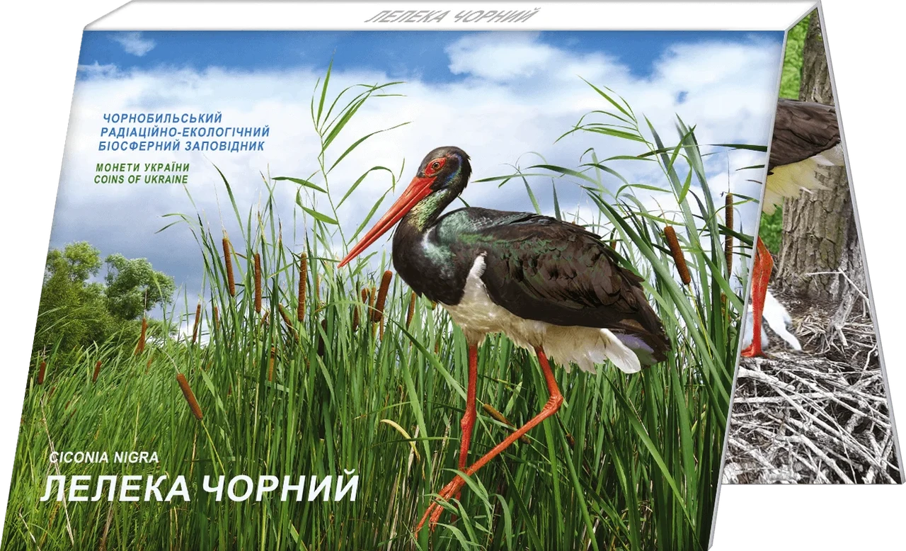 Монета НБУ "Чорнобиль. Відродження. Лелека чорний" у сувенірній упаковці. 2024, нейзильбер. 5 гривень., фото 1