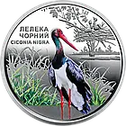 Монета НБУ "Чорнобиль. Відродження. Лелека чорний" у сувенірній упаковці. 2024, нейзильбер. 5 гривень., фото 2