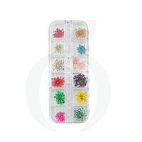 Набір сухоцвітів у контейнері для декору нігтів № 1