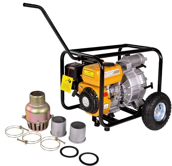 Мотопомпа FORTE FPTW30, фото 1