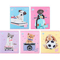 Зошит шкільний 24 аркуші карта Kite Studio Pets SP24-238, 68188