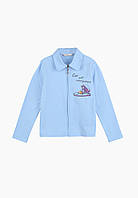 Блуза Deloras C63000 152 Голубой (2000903897200) z111-2024