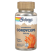 Гриб Кордицепс Cordyceps Mushroom 520мг - 100 вег.капсул