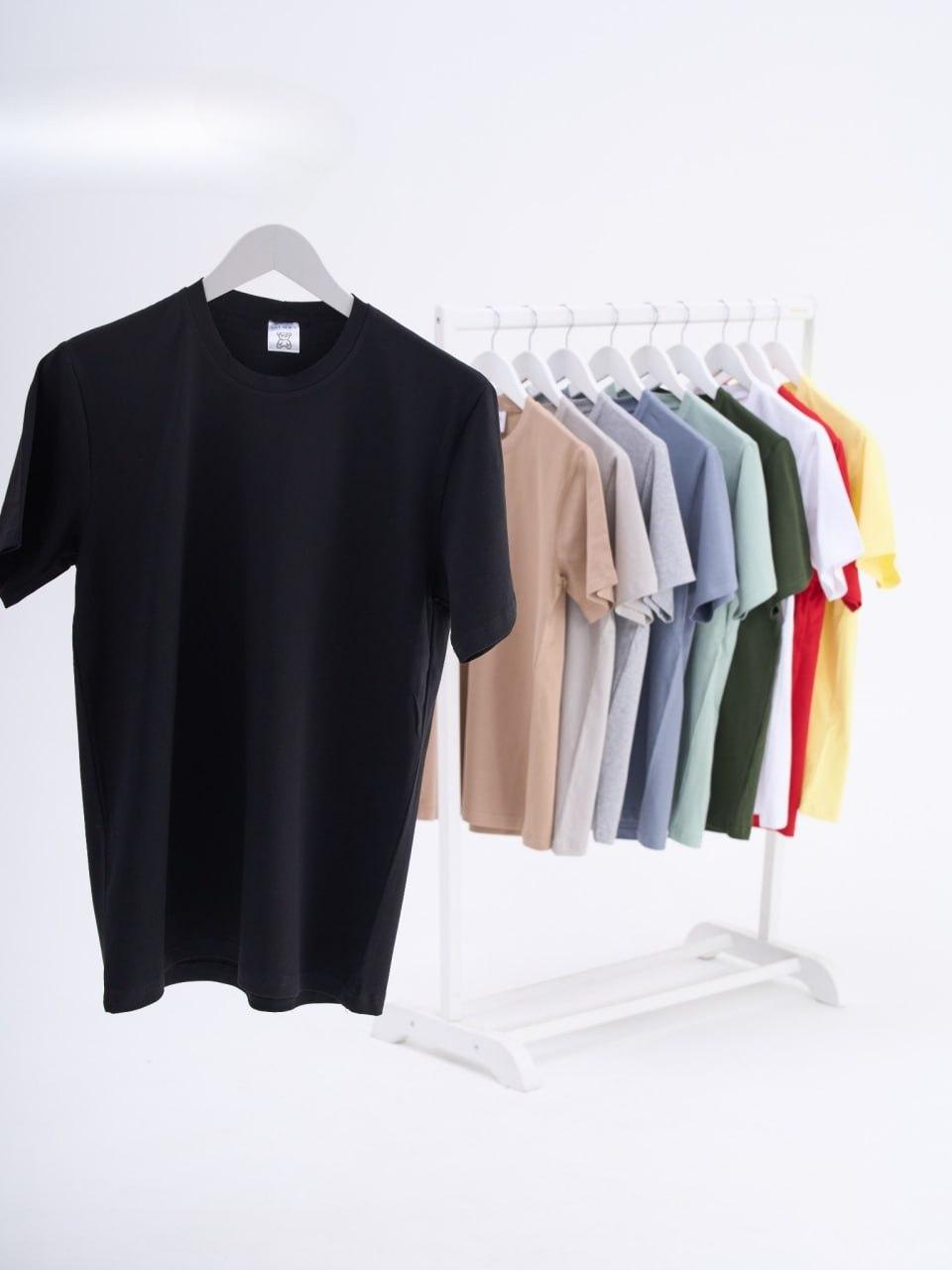 Футболка чоловіча класична без принта | Футболка чоловіча літня ast-12688, фото 1