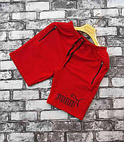 Шорты мужские летние Оптом Трикотажные мужские шорты Модные спортивные шорты разных цветов Стильные шорты