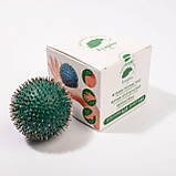 Ляпко М'ячик голчастий 4.0 Ag, фото 3