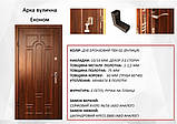Двері Арка бюджет, фото 2