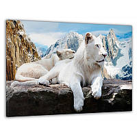 Картина на стену в гостиную/спальню Декор Карпаты "Белый лев в горах" 60x100 см MK10104_M z118-2024