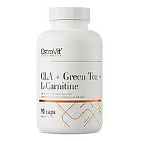 Жироспалювач OstroVit CLA + Green Tea + L-Carnitine, 90 капсул