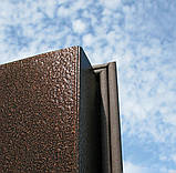 Двері Метал вуличні, фото 5