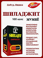 Шиладжит,100 капс. Индийское Мумие, экстракт Дабур - Shiladjit, Dabur, Иммунитет, переломы, мочеполовая сист.