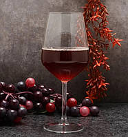 Набор бокалов для вина Pasabahce Allegra PS-440065-2 490 мл 2 шт mx