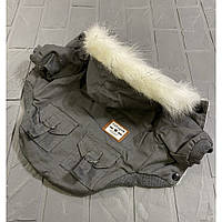 Джинсовая зимняя парка-куртка для собак с карманами на спинке и капюшоном серая_TT