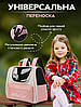 Рюкзак-перенесення для котів та собак 37х24х32 CosmoPet CP-65 Peachy, фото 3