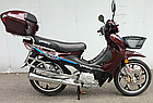 Мопед Viper V125 Active Вайпер актив, фото 2
