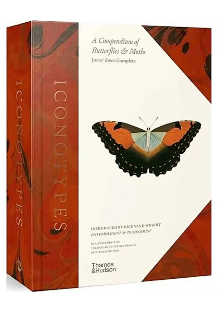 Iconotypes. A compendium of butterflies and moths, фото 1