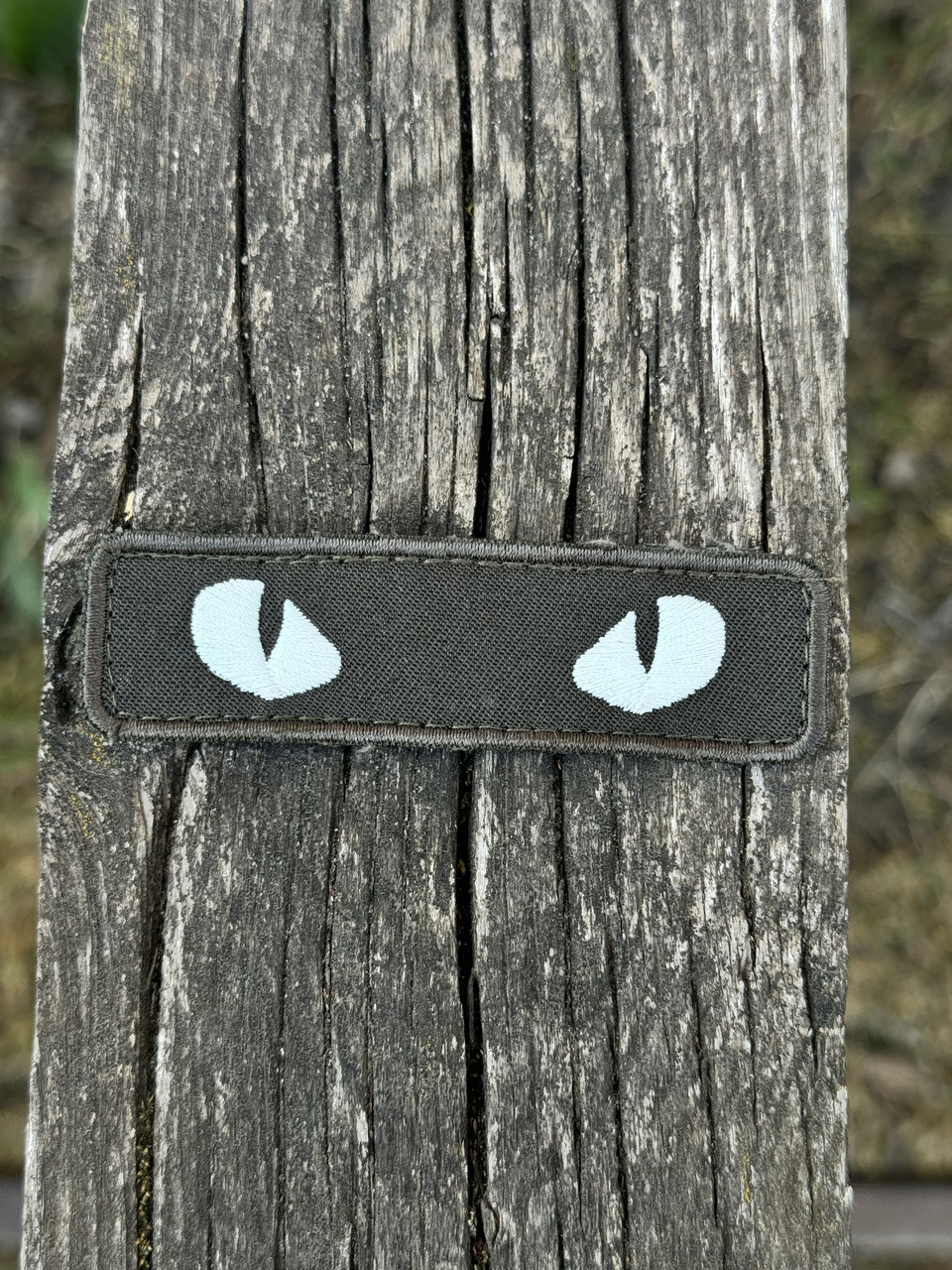 Шеврон/патч вишитий очі кота хакі