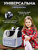 Рюкзак-перенесення для котів та собак 37х24х32 CosmoPet CP-65 Blue, фото 4
