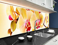 Панель на кухонный фартук под стекло орхидеи желтые, с двухсторонним скотчем 62 х 410 см, 1,2 мм