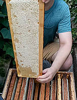 Мёд в сотах разнотравье летнее 0,5 кг 2023 г