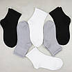 Шкарпетки жіночі 6 пар середньої висоти зі зручною резинкою бавовна розмір 35-38, фото 4