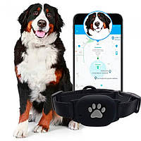 Лучший GPS ошейник для собак 2024 MYOX MPT 60-DB (черный) Высокая точность