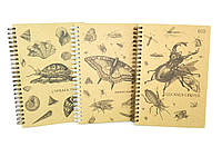 Блокнот Insects, бок. пружина, А5, 50л, Эко бумага, ТМ Колорит, Украина