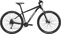 Cannondale Trail 7 (2022)