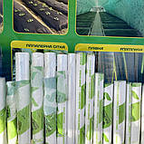 Плівка для теплиць біла 200 мкм, Ширина 3 м на 50 м, прозора на парник, фото 5