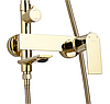 Душовий гарнітур REA STORM GOLD золотий з виливом, фото 2