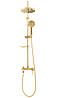 Душовий гарнітур REA LUIS GOLD з виливом, фото 3