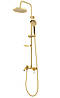 Душовий гарнітур REA LUIS GOLD з виливом, фото 4
